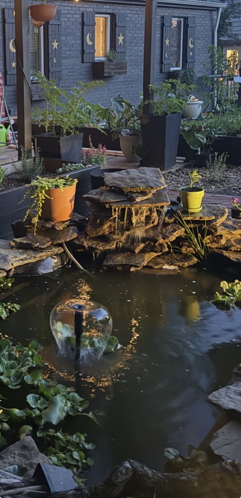 Garden pond with a stone waterfall, aquatic plants, and warm landscape lighting at dusk.