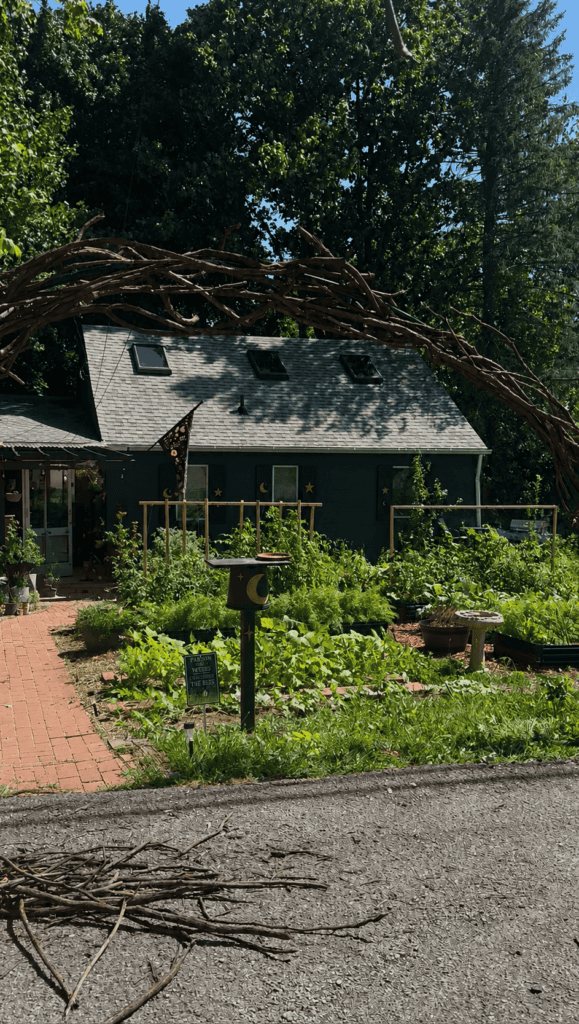 Handmade crescent moon garden gate wrapped in natural branches overlooking the garden and dark cottage.