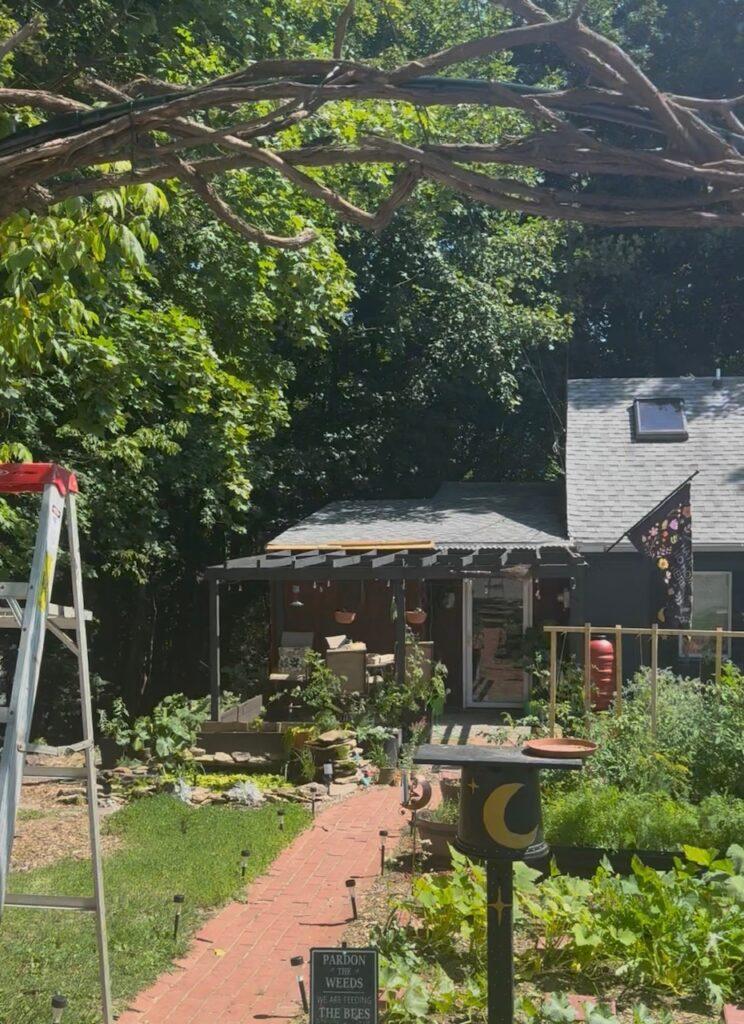 Moon Gate Trampoline Frame Wrapped in Vines